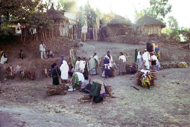 Fire wood sellinf at Lalibela market. North,  Ethiopia.