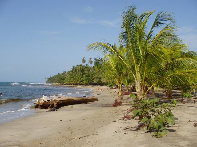Beach at Manzanillo. Costa Rica.