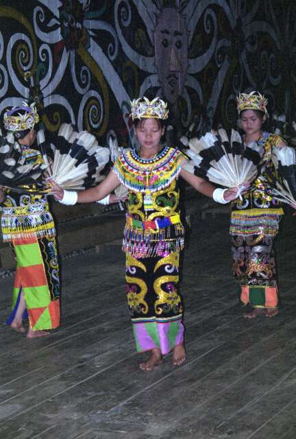 Traditional dayak dance. Long Ampung village. Kalimantan,  Indonesia.