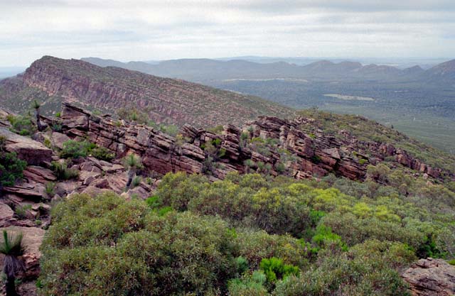 Flinders Ranges national park. Australia.