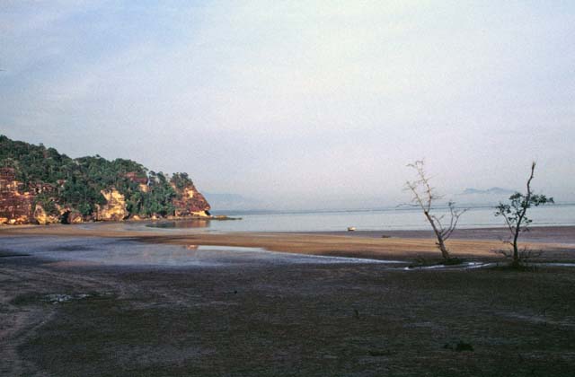 Bako national park. Sarawak,  Malaysia.