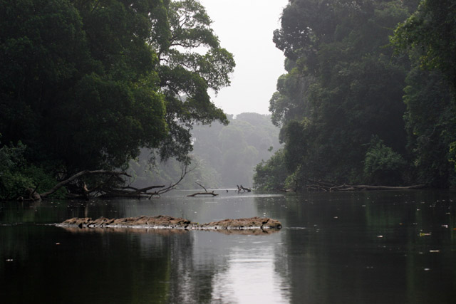 Lobe River. Cameroon.