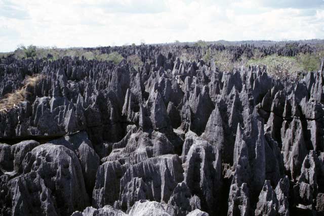 Grands Tsingy, Tsingy de Bemaraha National park. Madagascar.